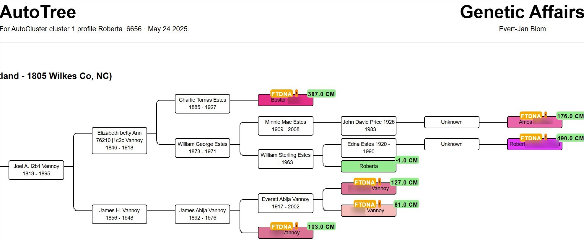 AutoTree reconstructed tree for cluster 1, showing common ancestors at the top and DNA matches at the leaves with cM values on each branch