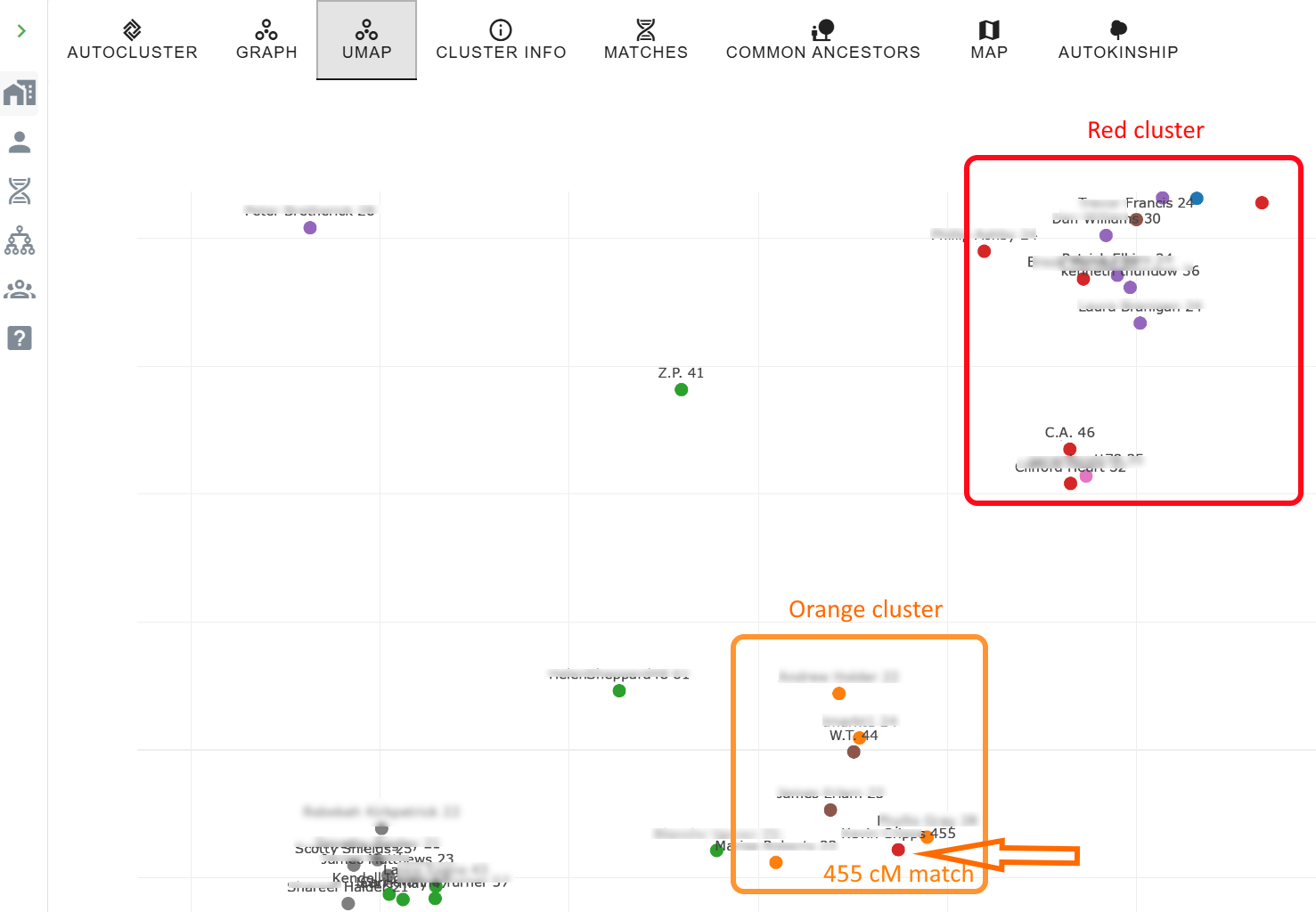 UMAP scatter plot of DNA matches, with a red cluster in the upper right and an orange cluster in the lower right; a 455 cM match labelled near the orange cluster
