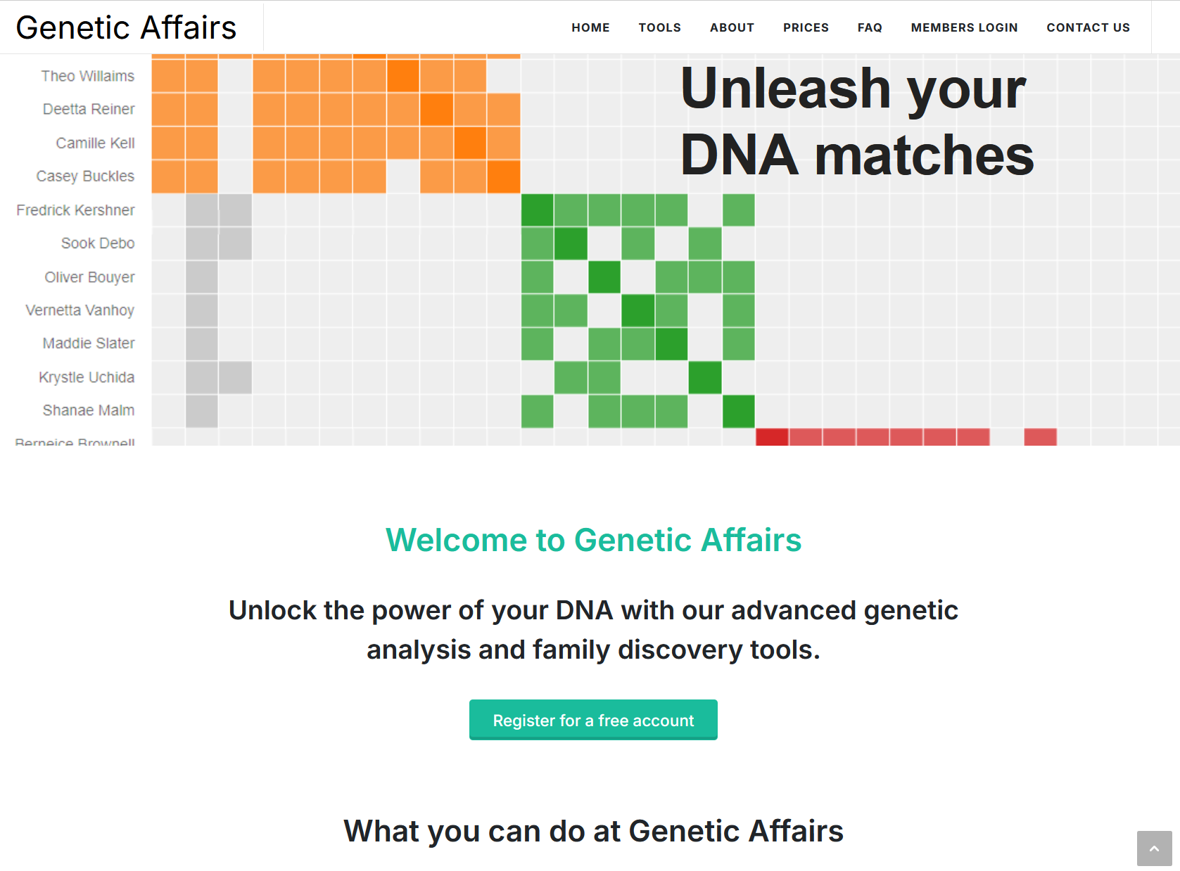 Genetic Affairs public website front page showing a cluster chart and 'Unleash your DNA matches' tagline